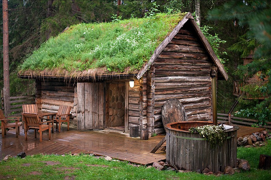 suitsusaun taevaskojas