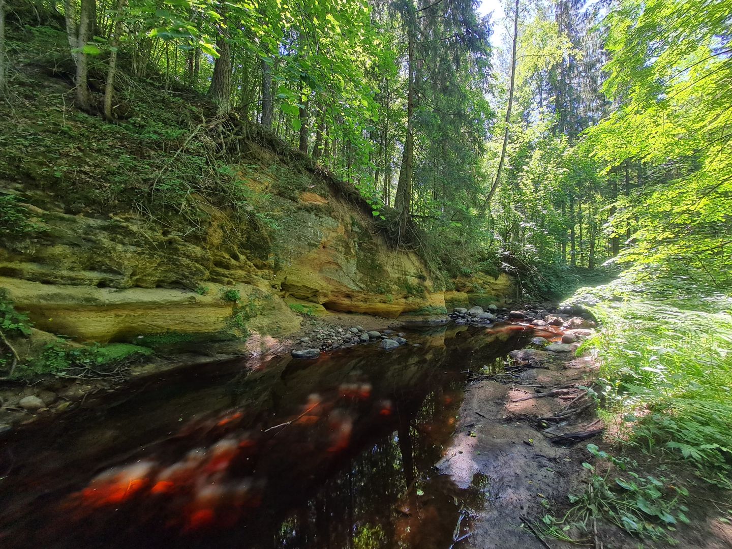 jalgsimatkad_Lõuna_Eestis