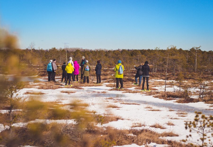 Räätsamatk Luhasoo rabas, Võrumaal